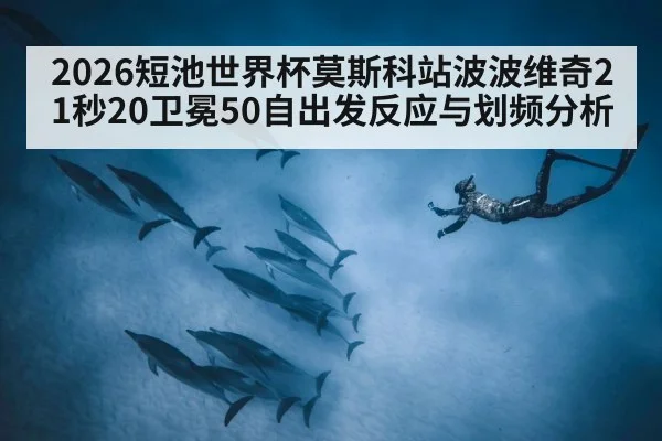 2026短池世界杯莫斯科站波波维奇21秒20卫冕50自出发反应与划频分析